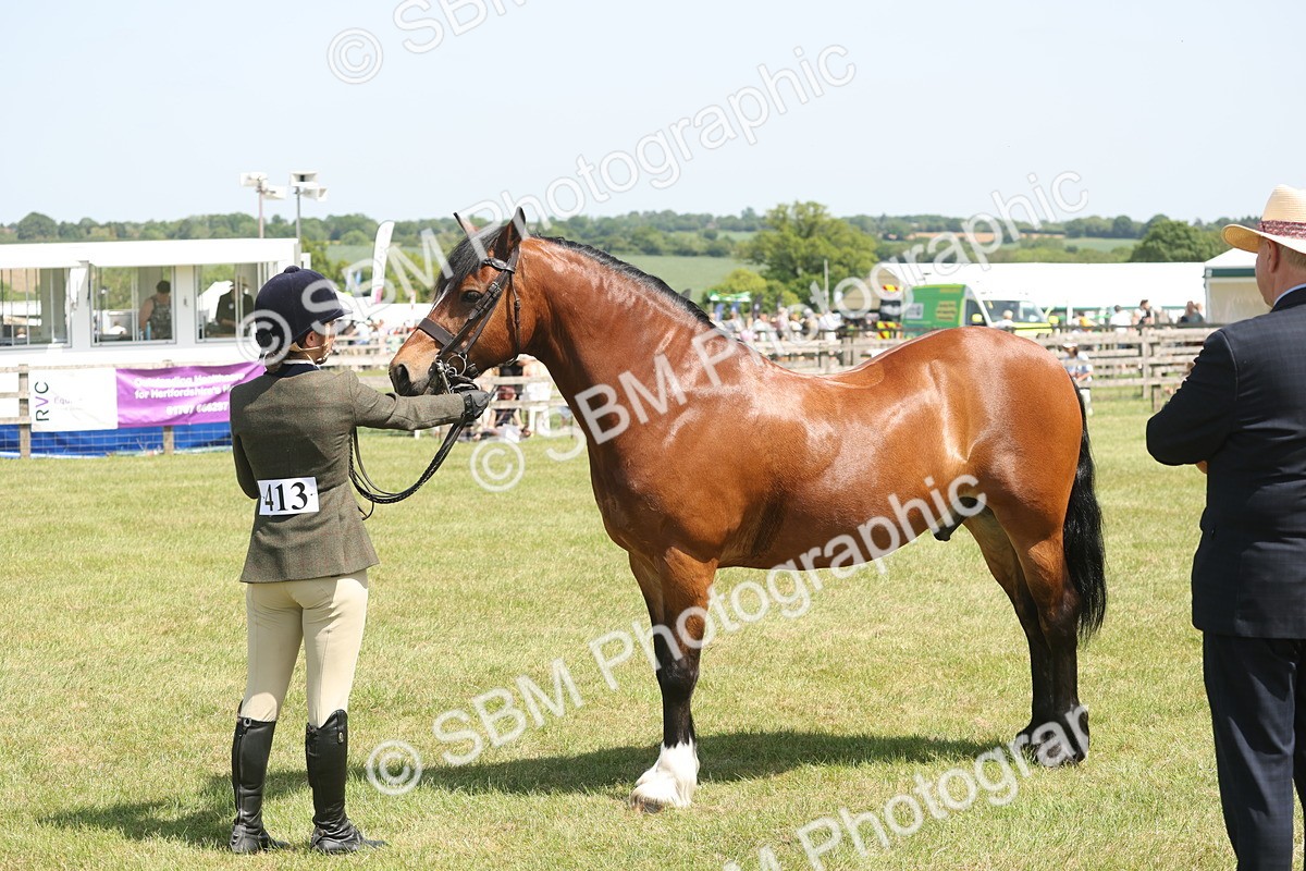 SBM_06973