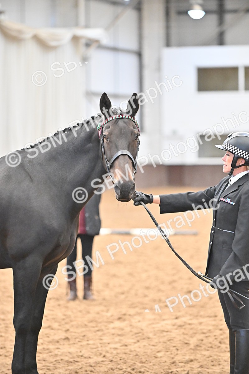 SBM_000086 - Class 4 - BSHA In Hand Show Cob