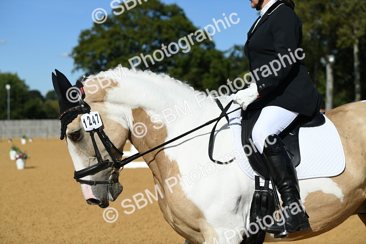 SBM_25121 - D13 - Grand Tour Championship - Prelim 12