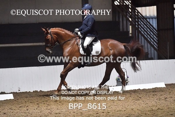 BPP_8615 - NOVICE 4 BD