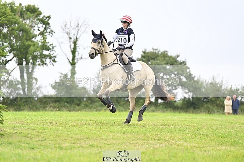 240831A-151611-04458 - 210-Zara.Head-FOURFIELDS.X.FAKTOR