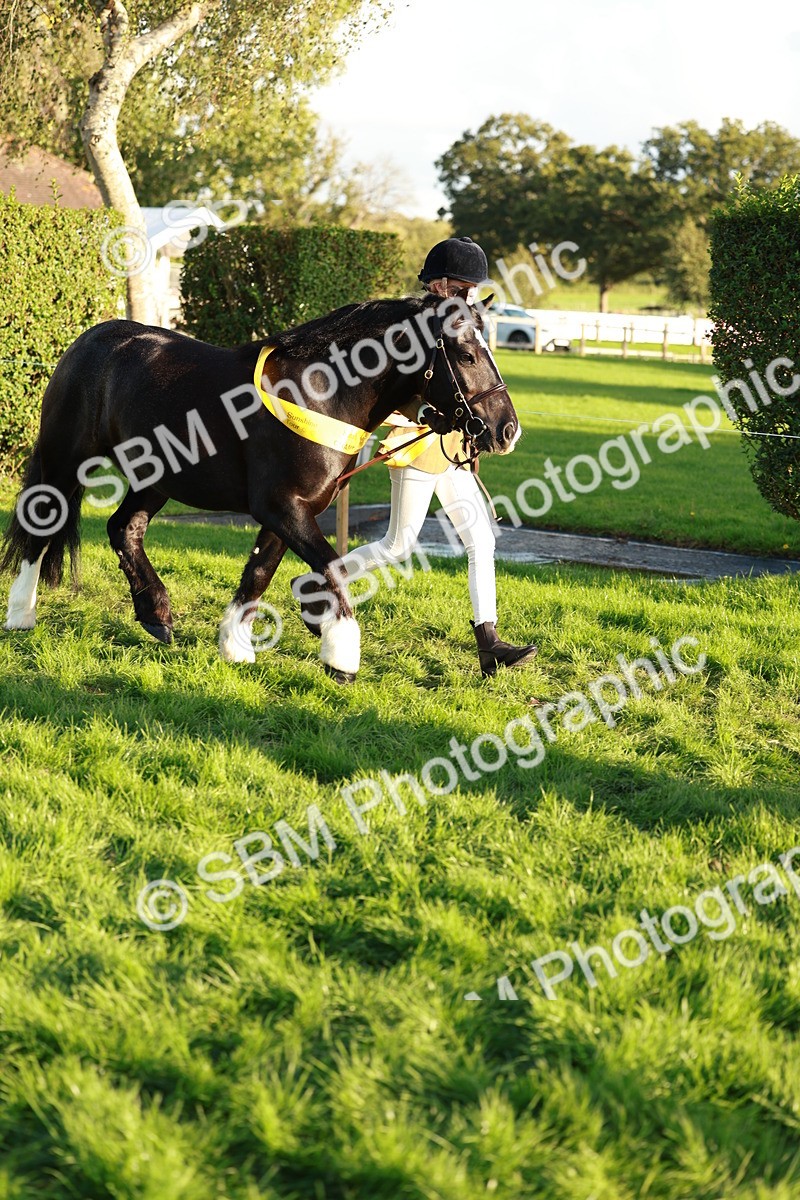 SBM_29349 - Novice & newcomer Supreme Championship