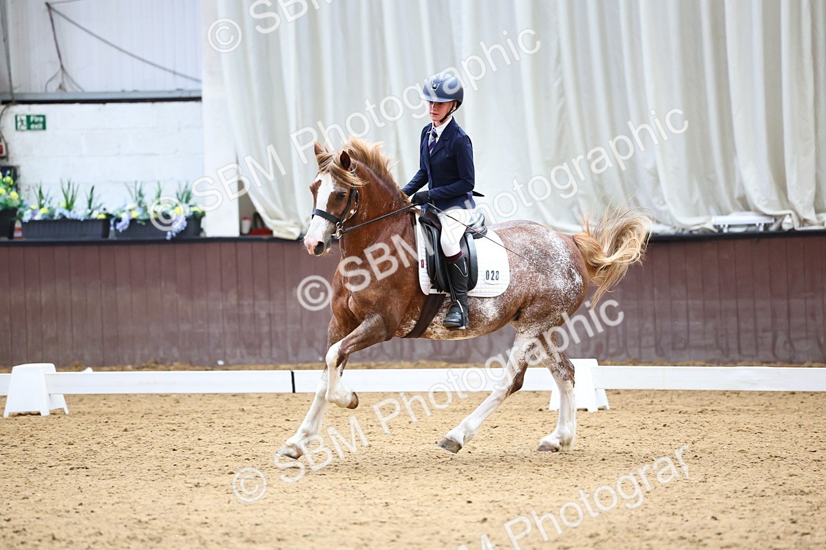 SBM_003551 - Prelim 2