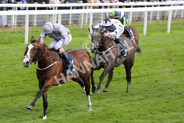 yr12052022r5-16 - Race 5 4.10pm British Stallion Studs EBF Westow Stakes