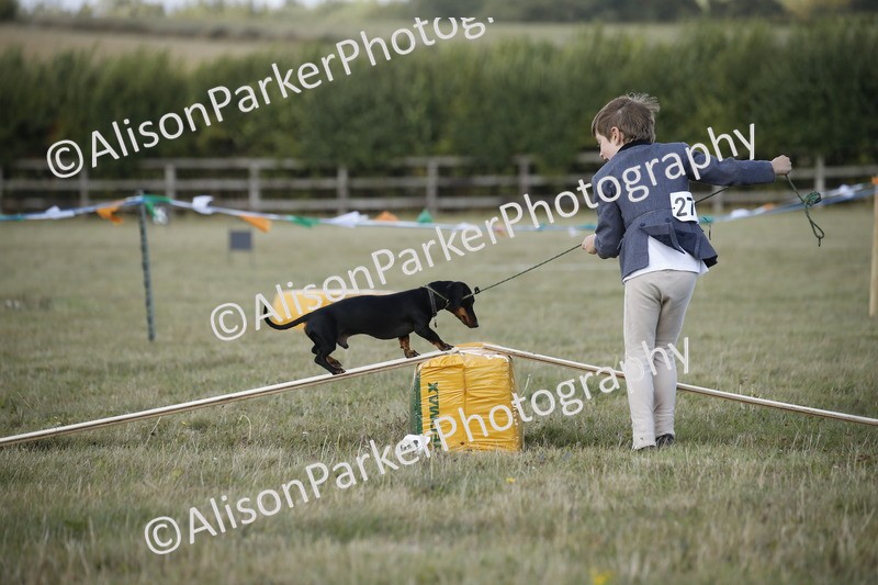 20250831-3851 - Dog Show
