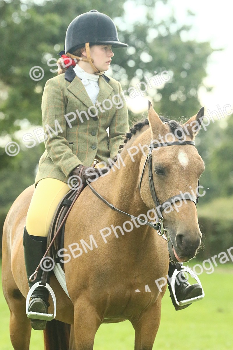 SBM_74115 - S 61 - Show Pony & Show Hunter Pony Ridden