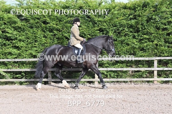 BPP_6779 - RING 1  (RIDDEN HORSES / IN HAND / VETERAN ETC)