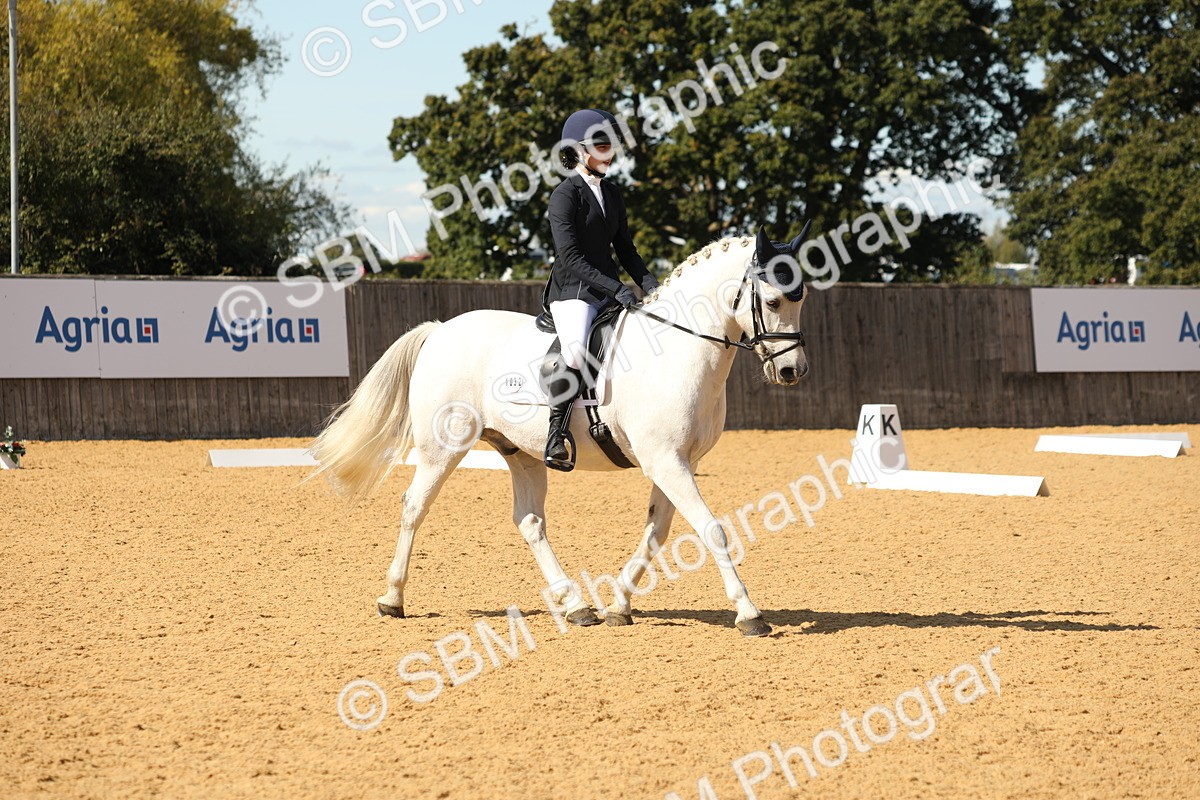 SBM_22361 - D17 - Grand Tour Championship - Novice 27