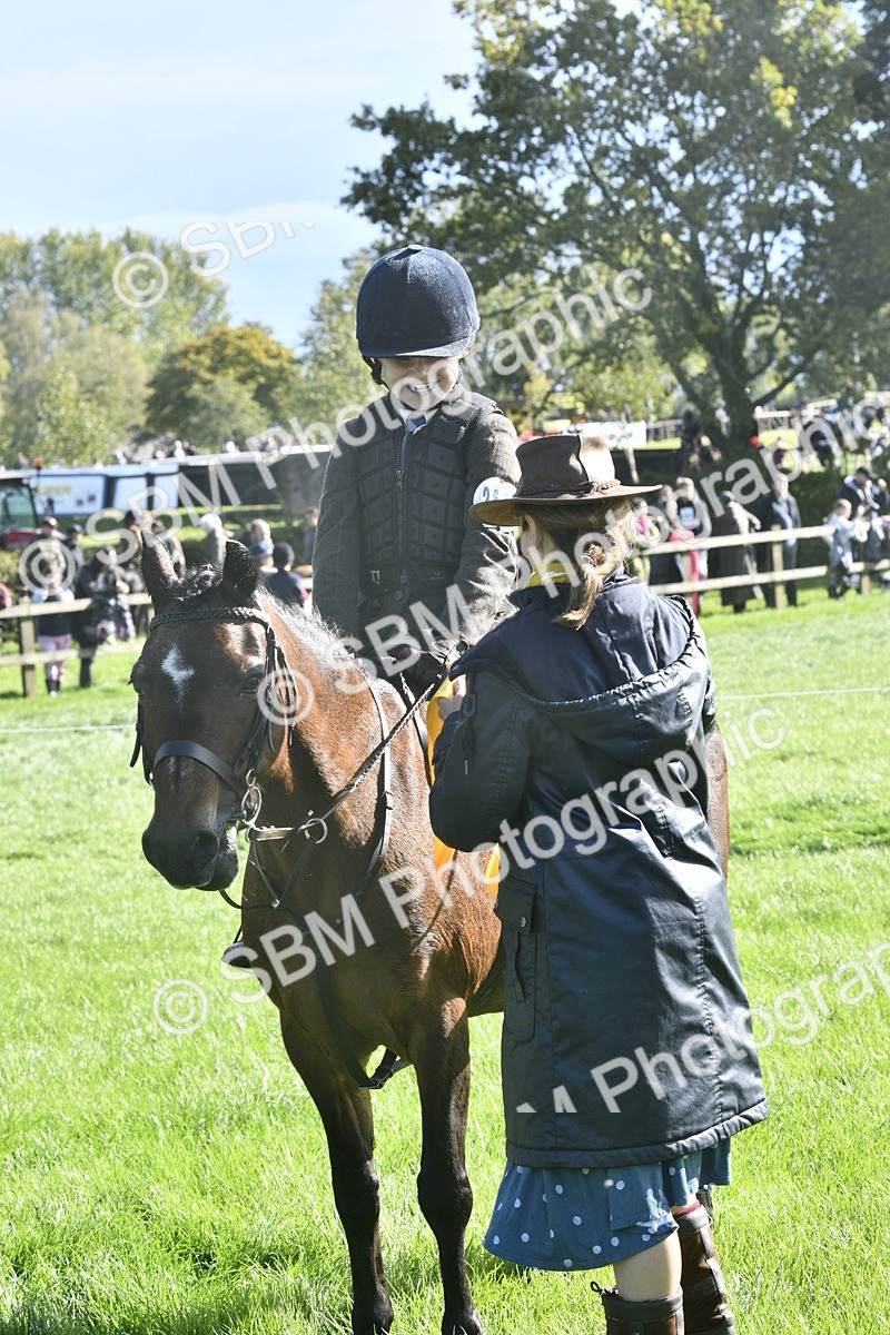SBM_37231 - S31 - Novice & Newcomer Working Hunter Pony