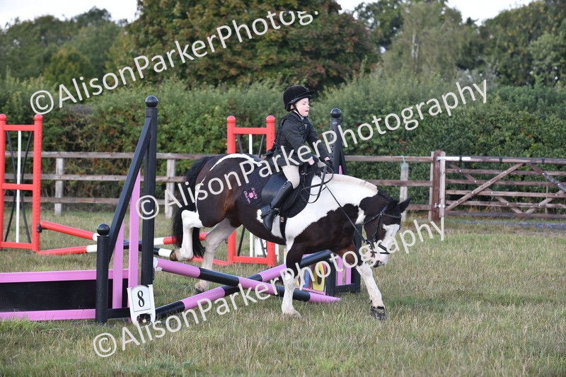 20250831-0446 - Class 7 - Absolute Novice 35cm