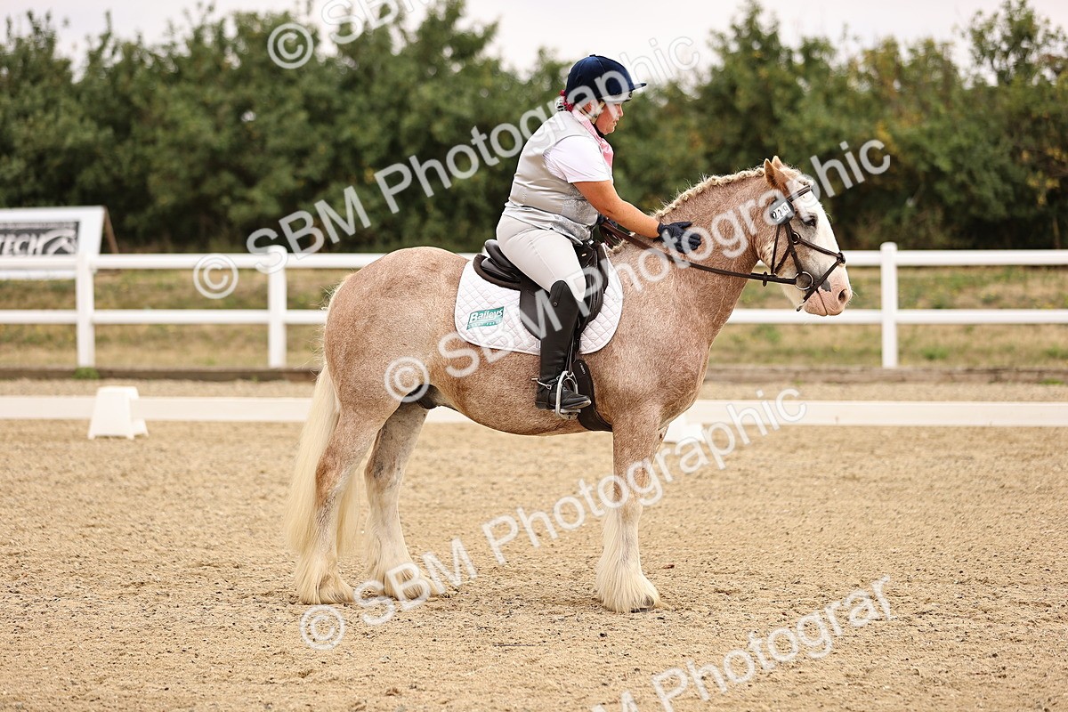 SBM_006431 - Intro 3 - 9.46-10.46