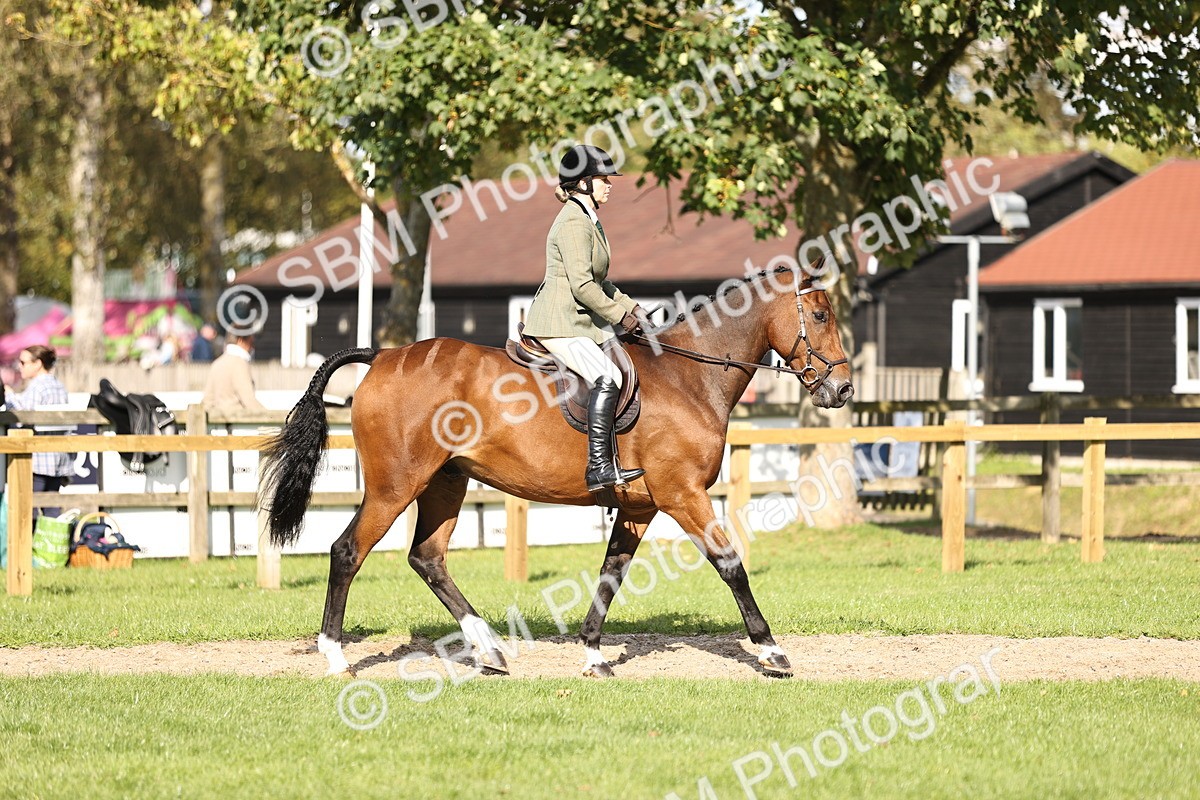 SBM_26324 - S6 - Novice & Newcomers Ridden Horse