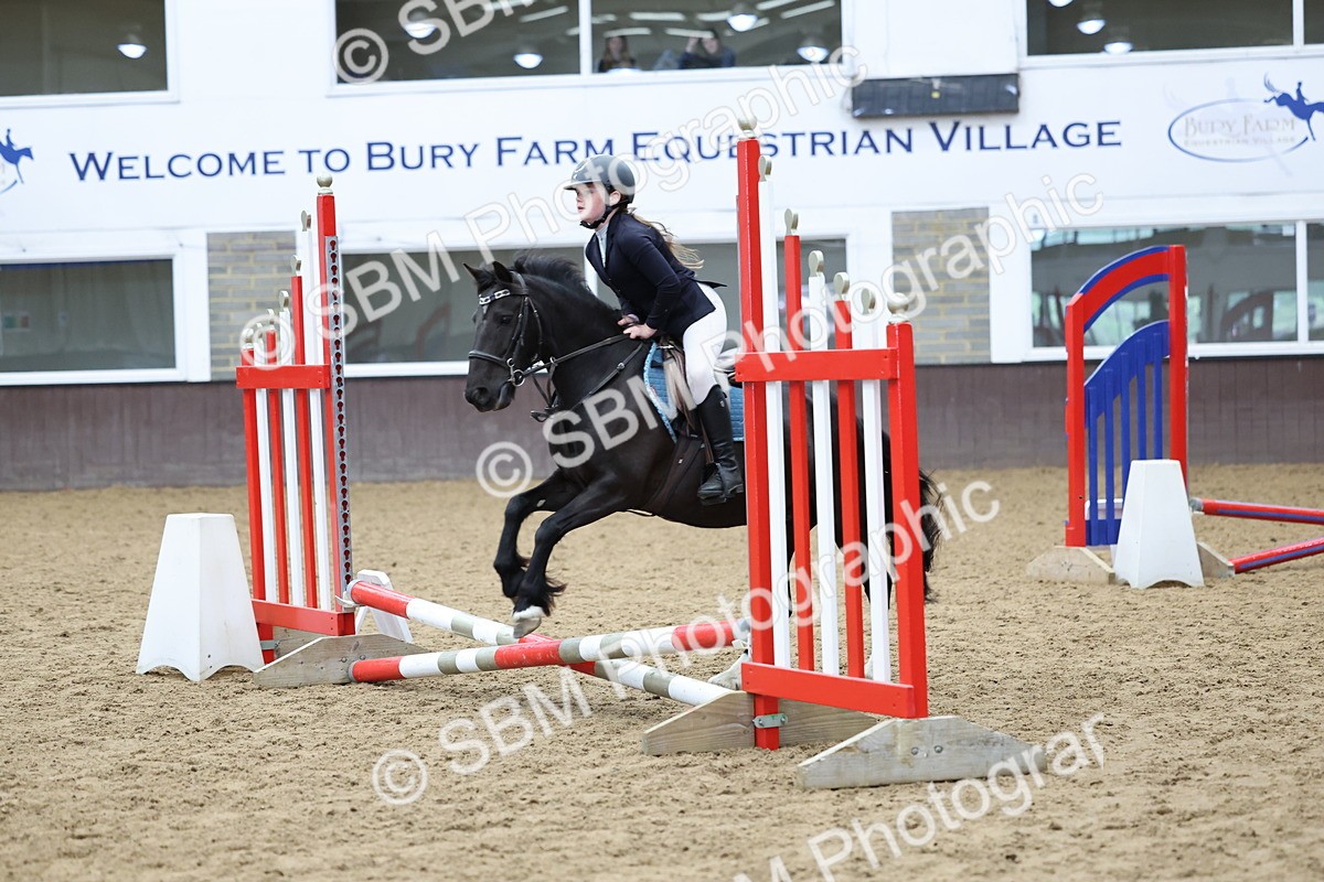 SBM_006938 - Class 1 - 40cm showjumping