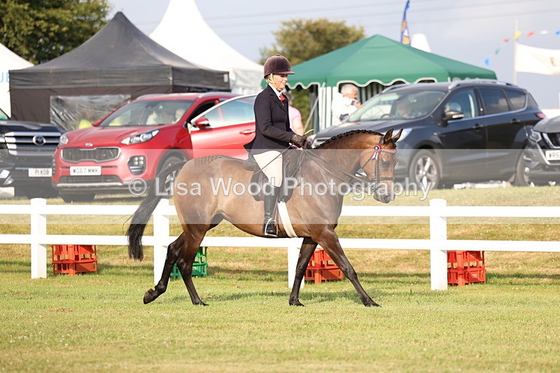 3E7A7680 - Class 1: Rising Star Small Hack/Riding Horses