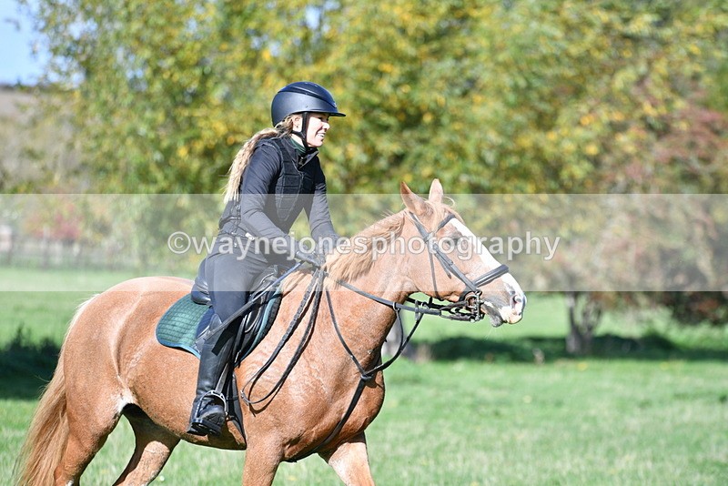 WJ5_7706 - Time 10:31 to 12:01