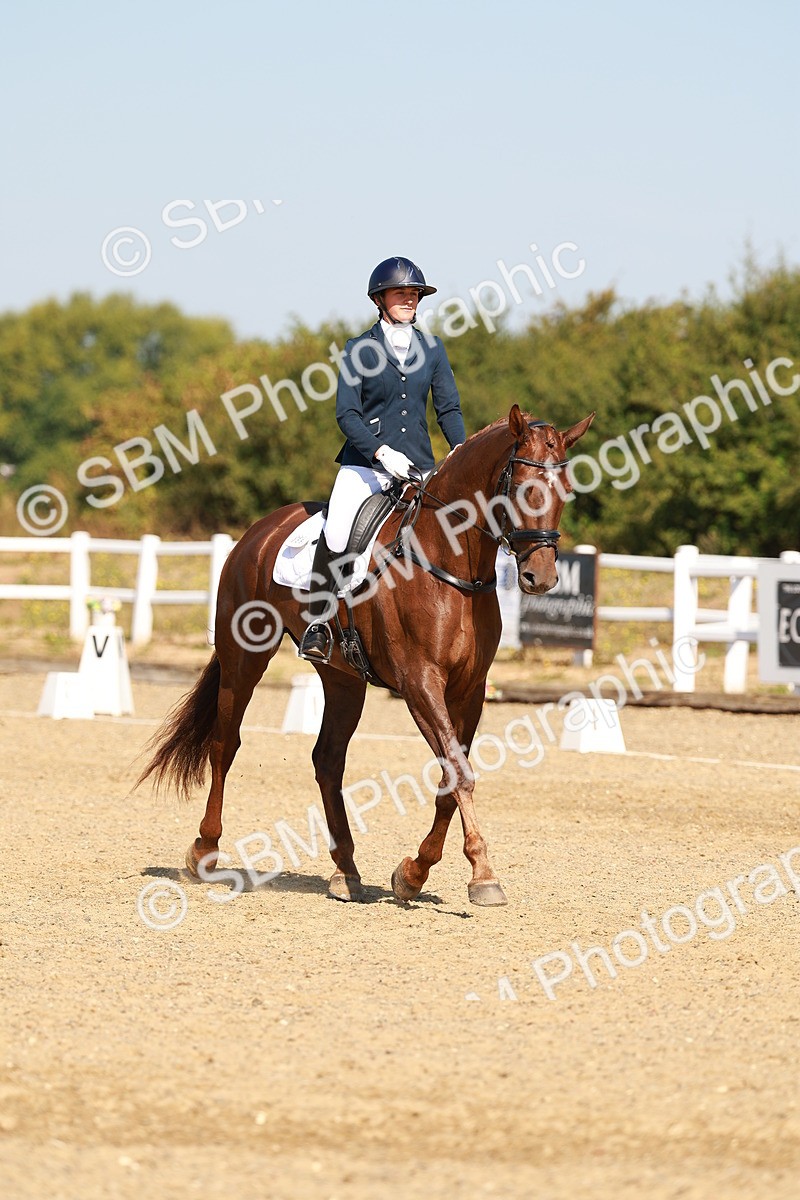 SBM_017508 - Class 9 - N5 Bronze 10.33.11.36