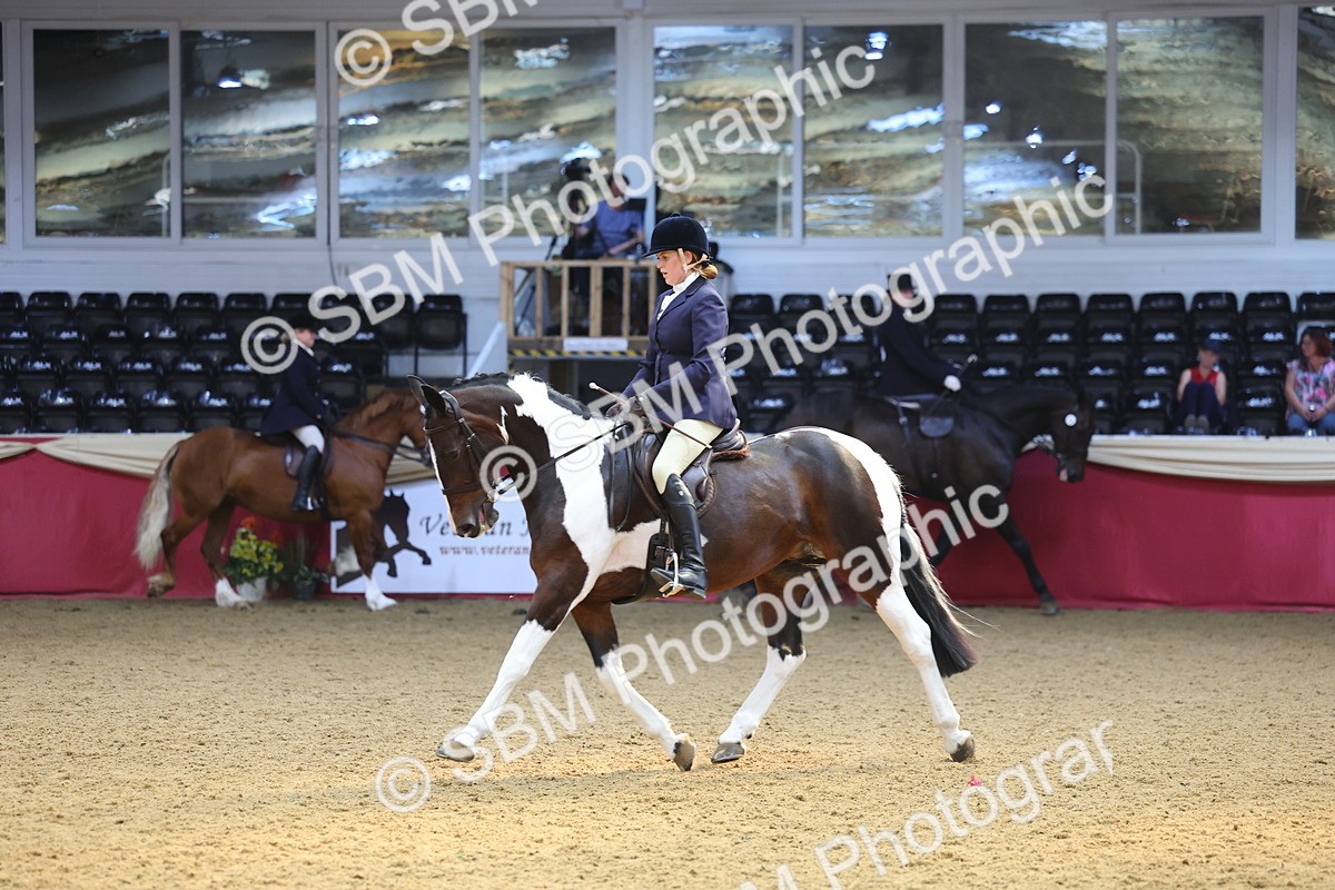 SBM_24558 - Class 906 - Supreme Final - Ridden Pre Vet