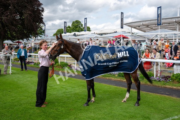 310525-Race 4-Scenic-7859 - Race 4 3.15pm William Hill Bronte Cup Fillies' Stakes