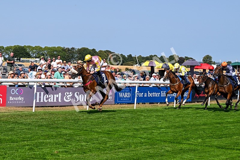 130826-Race 3-State Of Gold-8778 - Race 3 15.15pm Hornsea Ladies At The Races Nursery Handicap