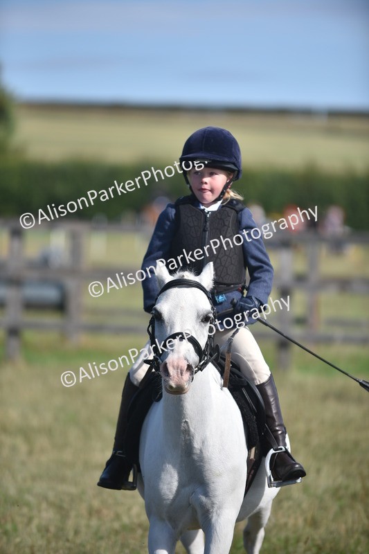 20260906-0959 - Class 7 - Absolute Novice Jumping 35cm