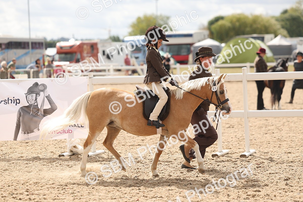 SBM_15759 - Class 309 - Lead Rein Pony