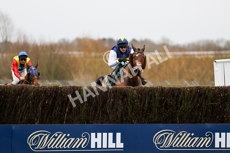 110124-Race 5-Track And Trace-5315 - Race 5