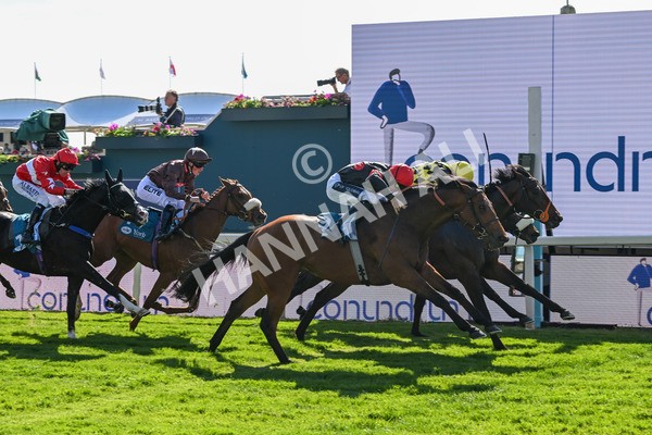 140525-Race 5-Rare Change-2743 - Race 5 4.18pm Conundrum HR Consulting Handicap
