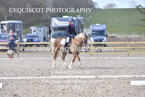 BPP_9967 - TEAM QUEST PRELIM 3