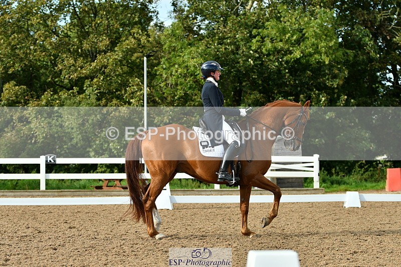 230912A-172911-02046 - Cls 23 FEI Grand Prix