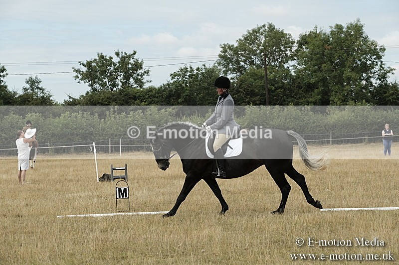 _PJP5762 - Dressage Classes BVRC Show 2018