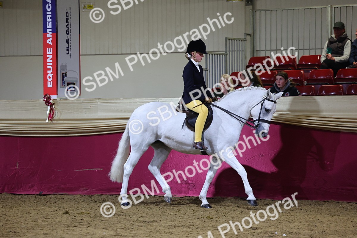 0B8A4573 - Class Q Style & Performance Champ