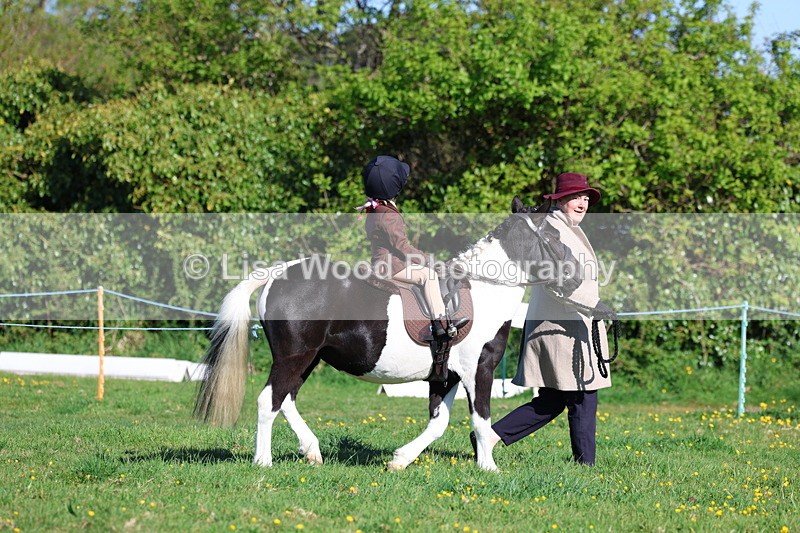 3E7A8465 - Class 2: Lead rein