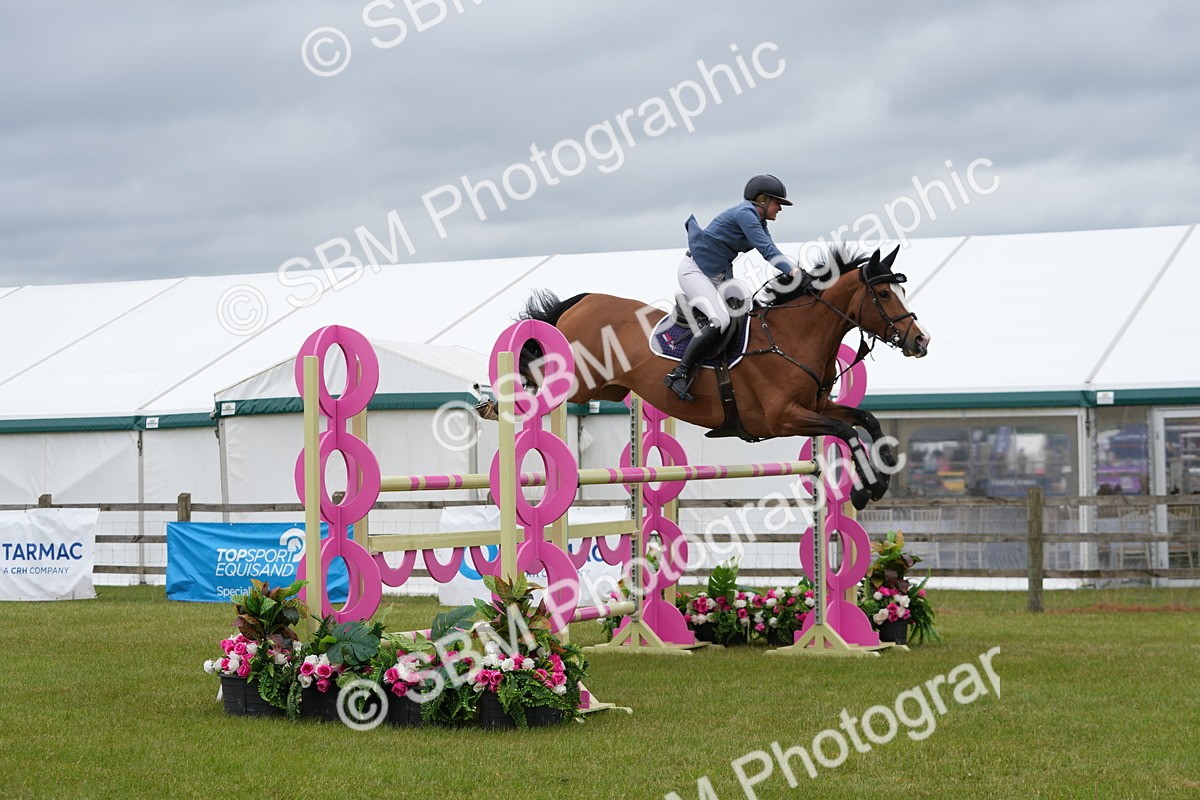 SBM_03369 - Class 201 - British Horse Feeds Speedi Beet Horse of the Year Show Grade  C