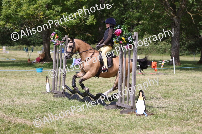 20260614-1897 - Class 21 - Novice Working Hunter Pony
