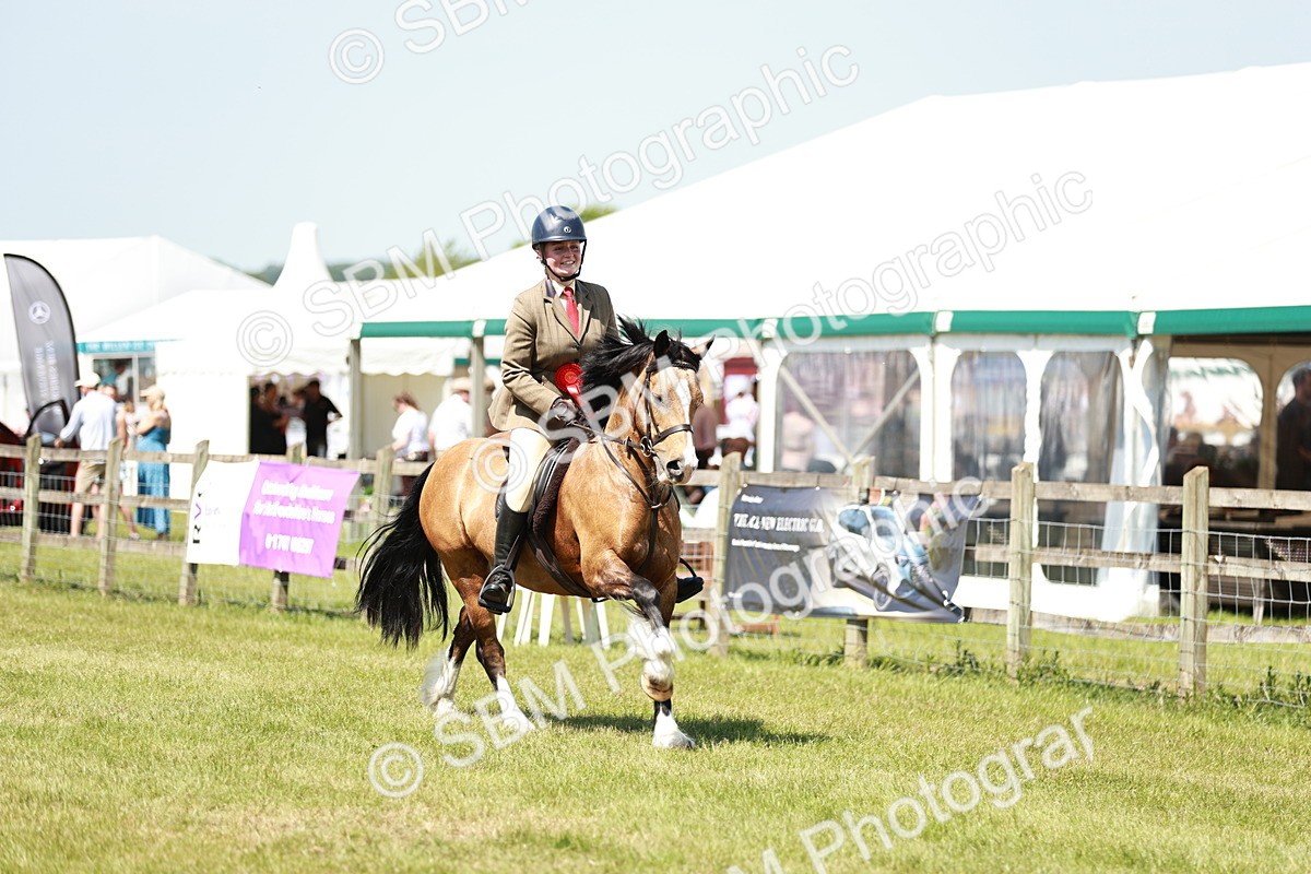 SBM_16430 - Class 110-111 - Training Stakes (70cms 80cms)