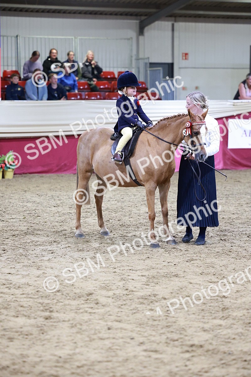 SBM_20571 - Class H - IH Competition - Riding Club champ