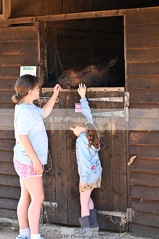 240729B-091638-01755 - Monday Stable Shots