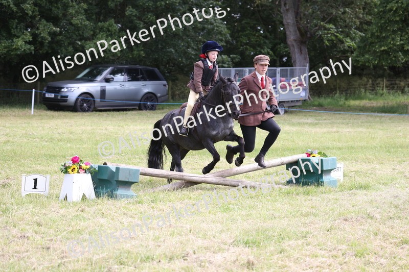 20260614-0571 - Class 20 - Beginners Working Hunter Pony