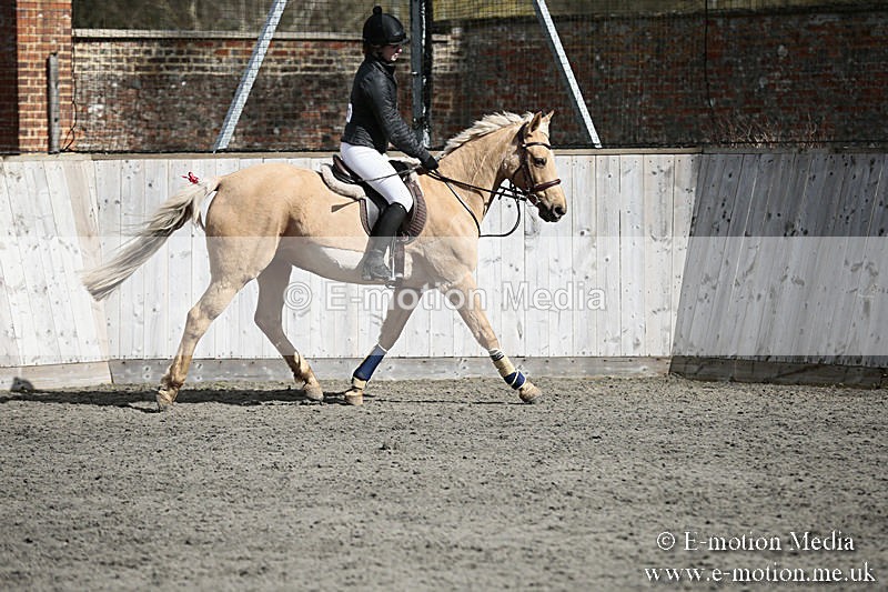 BVRC SJ 170319 345 - Bourne Valley Riding Club Showjumping 17/03/19