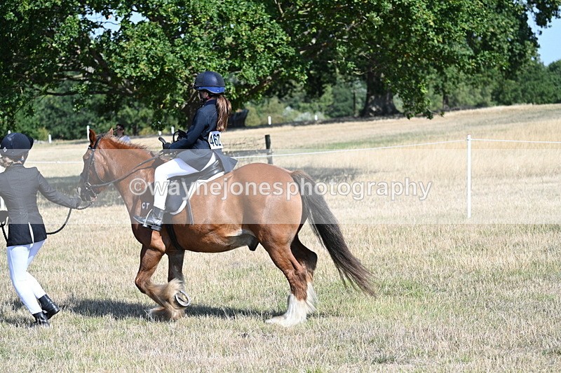 WJ7_3030 - Class 8 Ridden Tack & Turnout