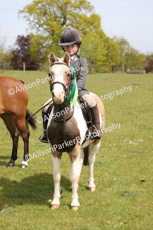 20260426-4021 - Class 33 - Best Pony 14.2hh and Under