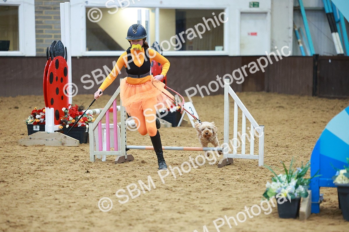 SBM_002344 - Class 3 - Horse & Hound (60cm)