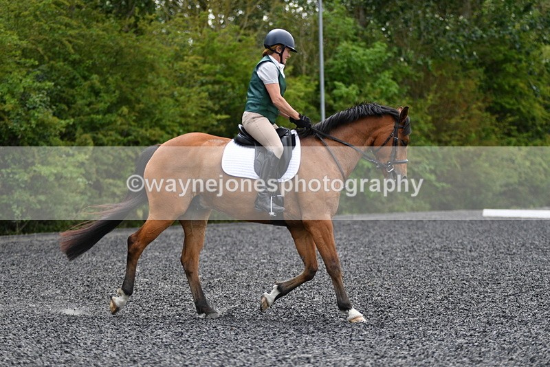 WJ5_0175 - Time 11:47 to 12:21