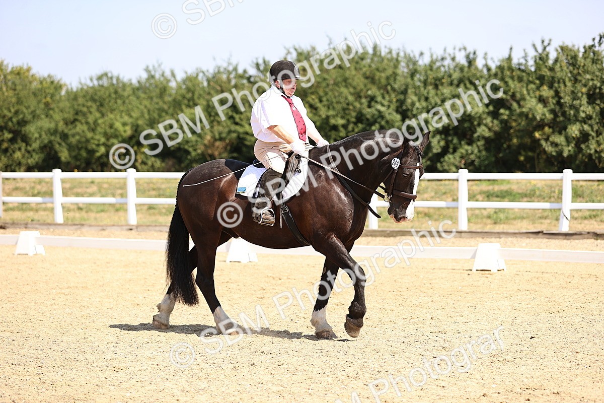 SBM_003623 - Intro 2