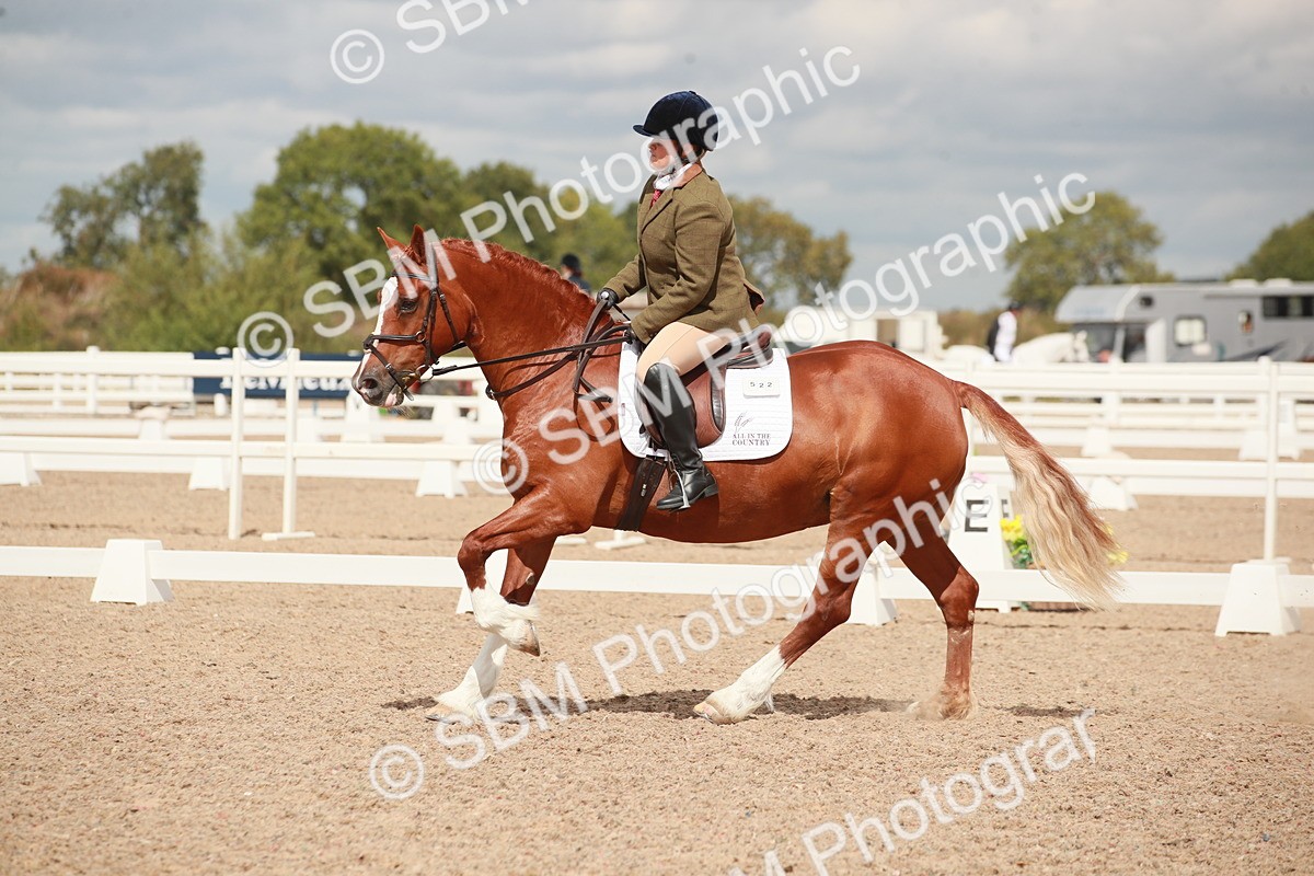 SBM_05868 - Class 32 - Novice 1