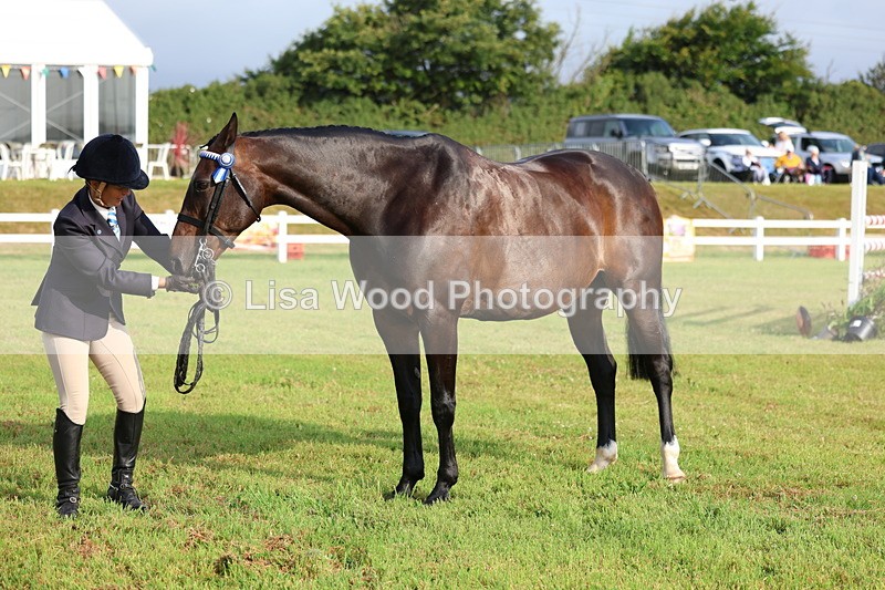 3E7A7860 - Class 1: Rising Star Small Hack/Riding Horses