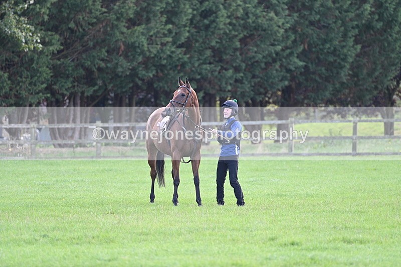 WJ7_0995 - Time 13:30 to 13:54