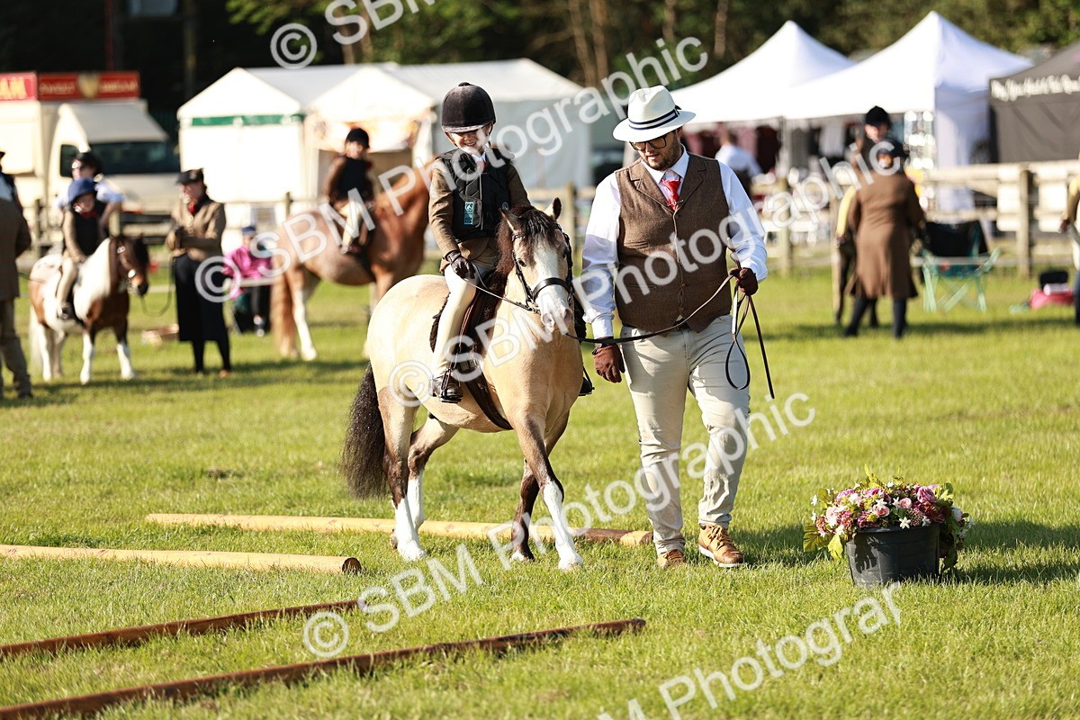 SBM_11084 - Class 106-107 - BSPS LIHS Working Sports Pony