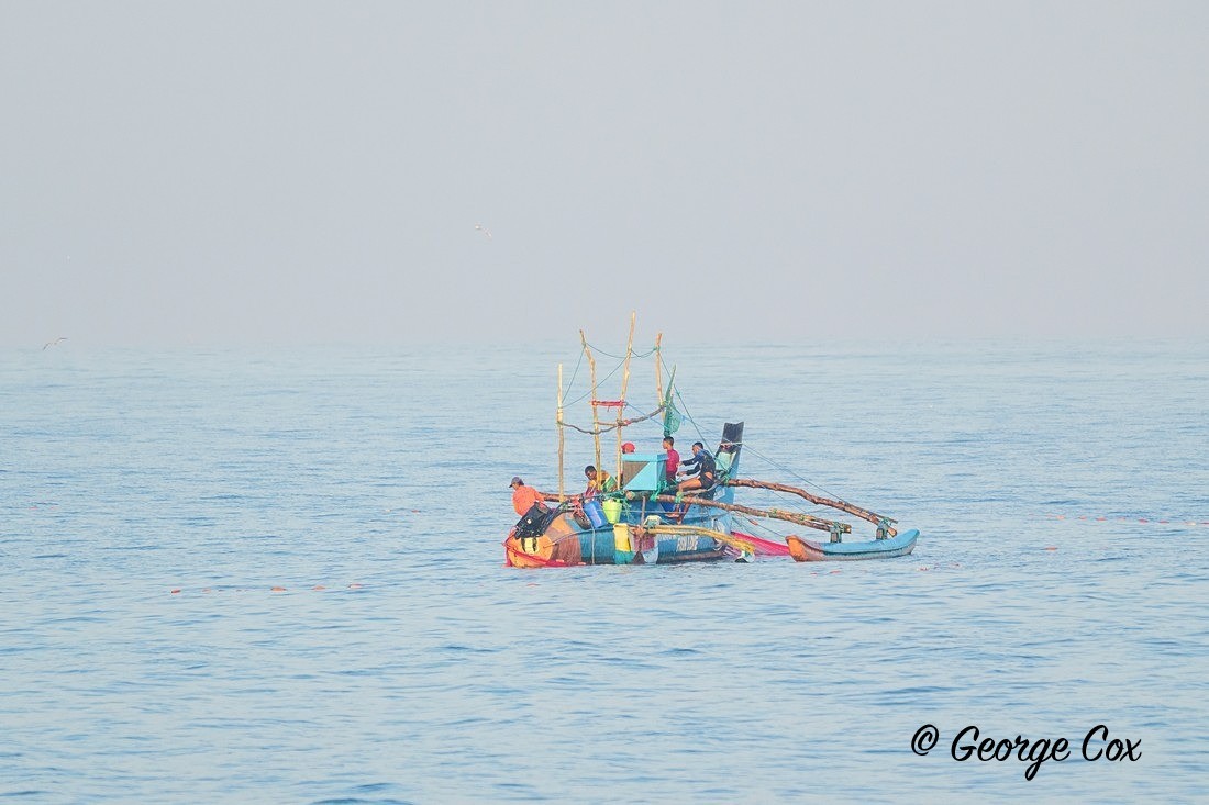 Traditional Fishing Boat - Sri Lanka