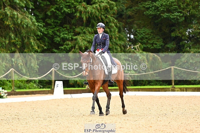 231021-114106-14786 - 238-LEXINGTON.III-Georgina.Wood-DR